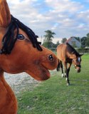 Hobby Horse Duży koń na kiju Premium - jasnogniady A3